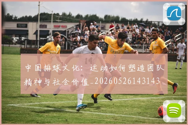 中国排球文化：运动如何塑造团队精神与社会价值_20260526143143